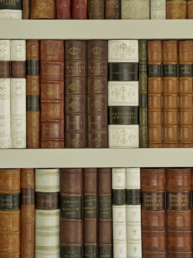 Close-up of a bespoke false library wall featuring antique leather-bound book spines, forming a concealed secret door within the shelving.
